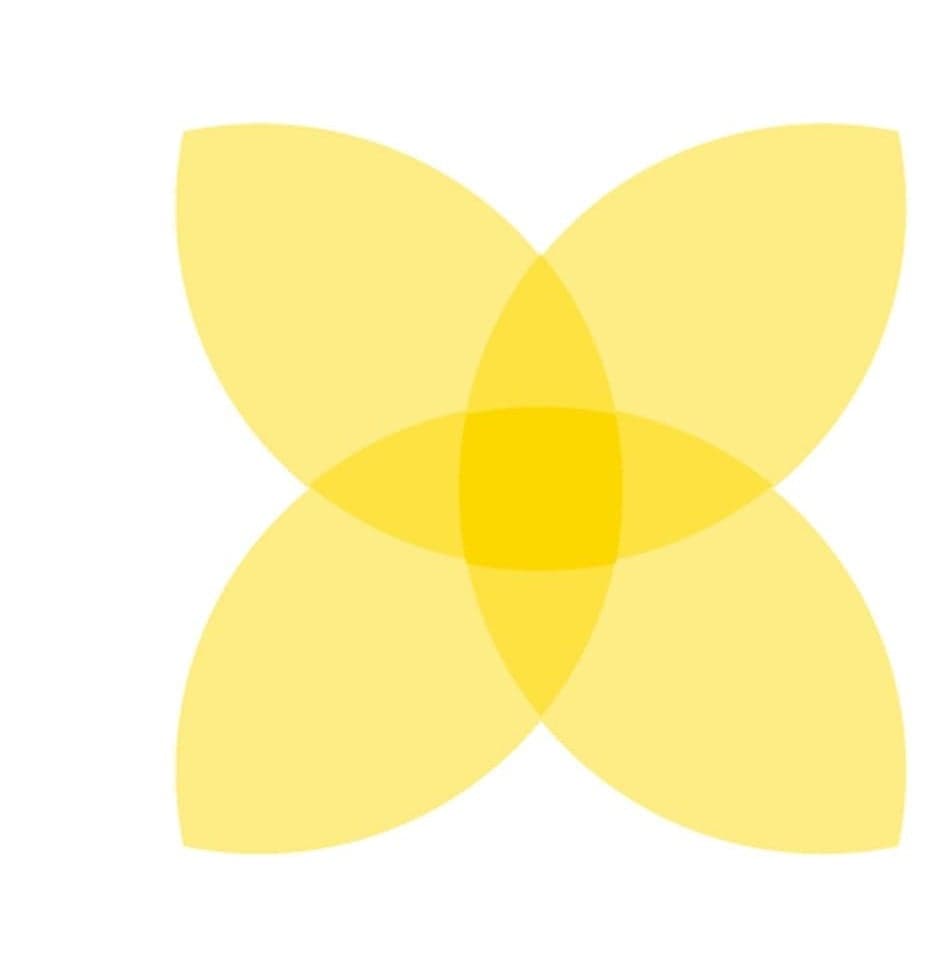 Logotipo de étoile jaune NAOS